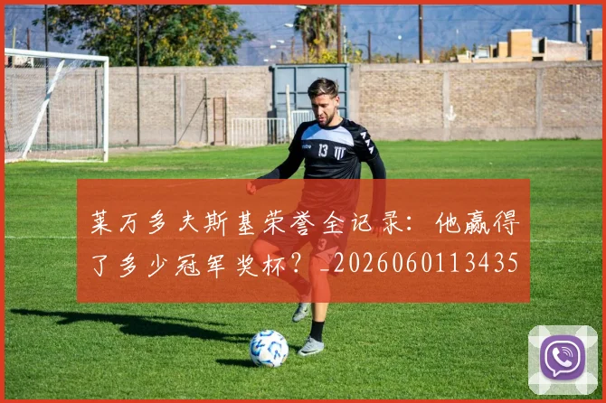 莱万多夫斯基荣誉全记录：他赢得了多少冠军奖杯？_20260601134350_20260703181809